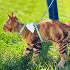 TIESOME Cat Harness and Leash Set, Adjustable Gradient Kitten Harness Escape Proof Harness with Leash for Kitty Outdoor Walking (Green)