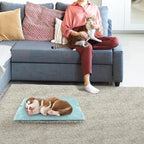 Self Warming Cat Bed, Foldable Self Heated Cat Mat Extra Warm Thermal Heating Pad 24 x 20 inch for Indoor Outdoor Cats, Non-Slip Bottom Washable Non Electric