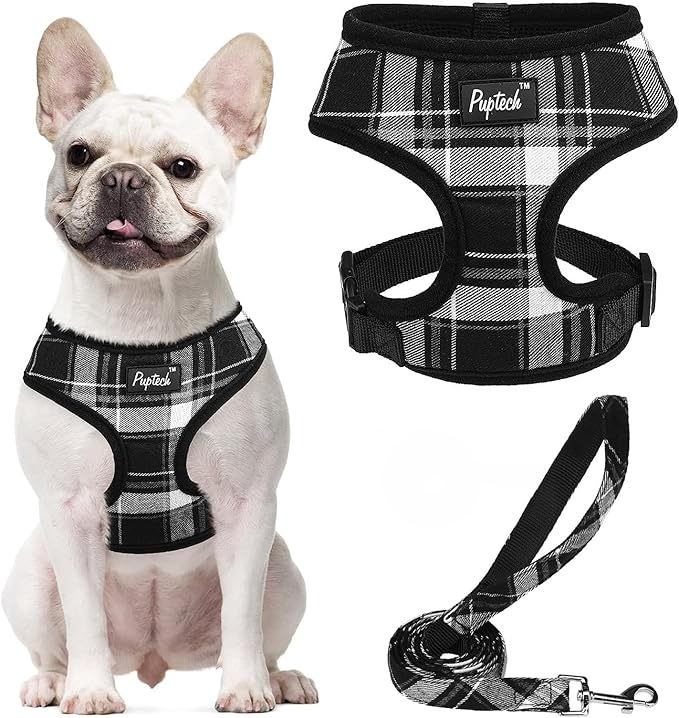 PUPTECK Soft Mesh Dog Harness and Leash Set Pet Puppy Cat Comfort Padded Vest No Pull Harnesses, Black, L