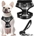 PUPTECK Soft Mesh Dog Harness and Leash Set Pet Puppy Cat Comfort Padded Vest No Pull Harnesses, Black, L