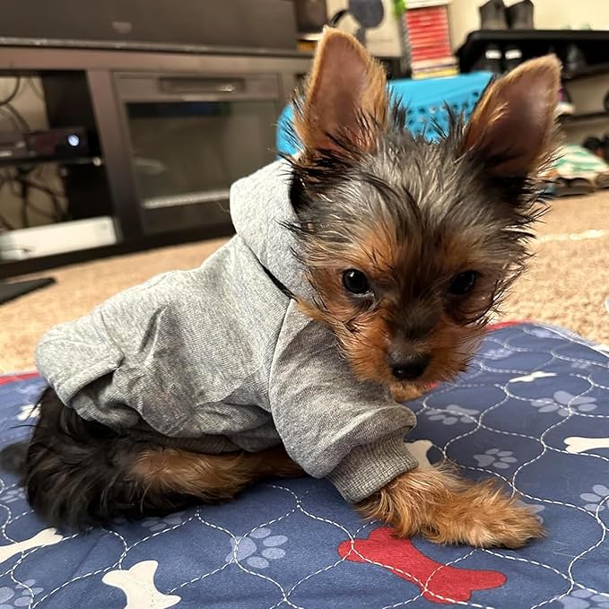 Jecikelon Winter Dog Hoodie Sweatshirts with Pockets Warm Dog Clothes for Small Dogs Chihuahua Coat Clothing Puppy Cat Custume (Grey, Medium)
