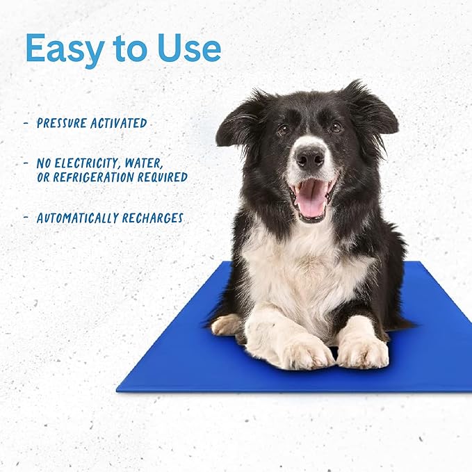 The Green Pet Shop Chillz Gel Mat, Large - Pressure-Activated Cooling Pad for Pets 25-50 lbs - Non-Toxic, No Water or Refrigeration Needed - Ideal for Home, Travel & Crates