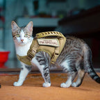 AIWAI Cat Harness and Leash for Walking, Escape Proof Soft Adjustable Vest Harnesses for Cats, Easy Control Breathable Soft Mesh with Control Handle for Large Cat Small Dog, Gift with Patch