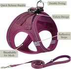 Dog Harness with Leash Set, No Pull Adjustable Reflective Step-in Puppy Pet Vest Harnesses for Small Medium Large Dogs and Cats,Cranberry XXS
