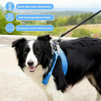 ROYPET Step-in Air Dog Harness, All Weather Mesh Step in Vest Harness for Small and Medidum Dogs and Cats, Adjustable Soft Padded Dog Vest with Easy Control Handle for Dogs Pets (Azure, S)