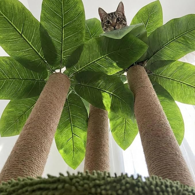 31.5Inch Cat Scratching Post,Cat Scratcher Tree with 3 Scratching Poles & 2 Interactive Dangling Balls,Cats Scratching Posts for Indoor Kitten & Adult Cats