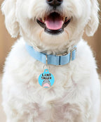 Bad Tags Personalized Dog and Cat ID Tags in 25+ Designs and 2 Sizes - 5 Lines of Custom Engraved Text - Funny Cute Personalized Pet Tags (Land Shark, Small (1 inch))
