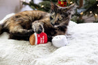 Pearhead Hot Cocoa Christmas Cat Toy Set, Holiday Pet Owner Gift, Holiday Must Have Accessories, Plush Rattle and Crinkle Holiday Cat Toys, Set of 2