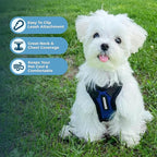 Voyager Step-in Pet Harness - All Weather Mesh, Adjustable Step in Harness for Cats and Dogs by Best Pet Supplies - Royal Blue/Black Trim, M