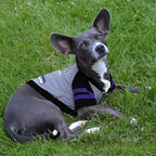 Pets First Hoodie for Dogs & Cats. NFL Football Licensed Dog Hoody Tee Shirt, Small. Sports Hoody T-Shirt for Pets. Licensed Sporty Dog Shirt