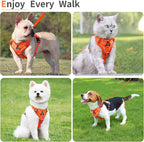 No Pull Dog Harness with Leash Set for Medium Sized Dog, Reflective Adjustable No Choke Front Clip Cat Vest Harness with Breathable Mesh, Comfortable Soft Padded Pet Vest, Orange XL