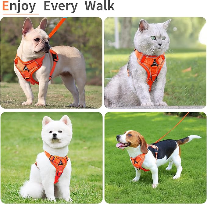 No Pull Dog Harness with Leash Set for Small Sized Dog, Reflective Adjustable No Choke Front Clip Cat Vest Harness with Breathable Mesh, Comfortable Soft Padded Pet Vest, Orange M