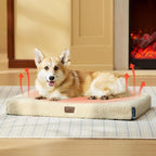 Bedsure Self Warming Dog Bed for Medium Dogs - Comfy Cat Beds with Removable Washable Cover, Orthopedic Egg Crate Foam Pet Mat, Suitable for Pet Up to 30 lbs (Non Electric)