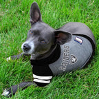 Pets First NFL Oakland Raiders Hoodie for Dogs & Cats. | NFL Football Licensed Dog Hoody Tee Shirt, Small| Sports Hoody T-Shirt for Pets | Licensed Sporty Dog Shirt