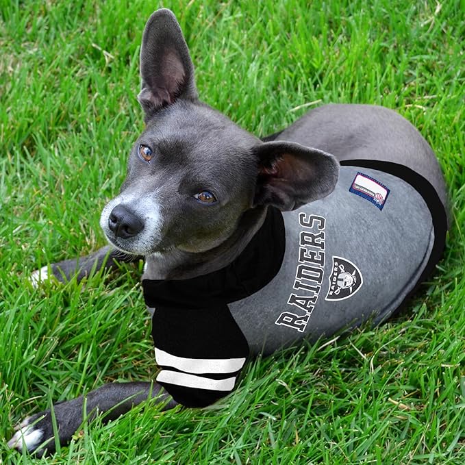 Raiders Hoodie Tee Shirt
