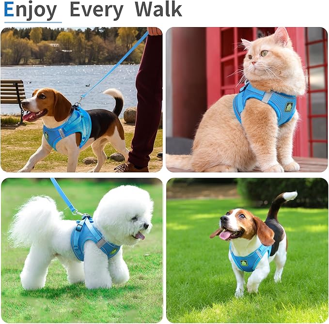 Step in Dog Harness with Leash Set, Adjustable Soft Padded and Breathable Mesh for Small Sized Dog, Reflective No Pull No Choke Cat Vest Harness, Easy Control Pet Vest, Blue L
