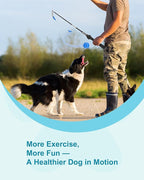 Flirt Pole for Dogs, Durable Dog Flirt Pole for Large Medium & Small Dogs, Interactive Dog Pole Toy with Rubber Ball for Outdoor/Indoor, Training, Chase, Tug of War 24 inch