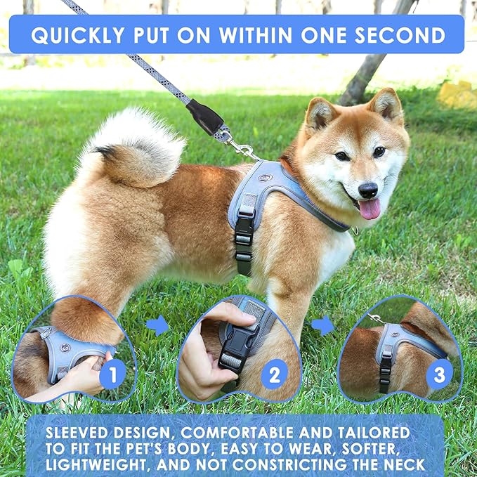 Dog Harness and Leash Set, No Pull Saddle Style Pet Harness, Breathable Mesh Adjustable Reflective Dog Vest for Dogs and Cat Medium Small Harness 2 D-Rings (Blue, M)