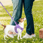 PUPTECK Adjustable Dog Harness Collar and Leash Set Step in No Pull Pet Harness for Small Medium Dogs Puppy and Cats Outdoor Walking Running, Soft Mesh Padded Reflective Vest Harnesses, Purple XS