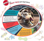 SPOT Play Strong Bone- Durable TPR Long Lasting Dog Chew for Aggressive Chewers, Hole for Treats, Virtually Indestructible Toy for Medium Dogs & Puppies - 5.5 inch