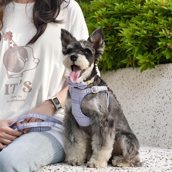 Beirui Cute Extra Small Dog Harness Collar and Leash Set with Bowtie, Soft Adjustable Plaid Puppy Harness for Small Sized Dogs Cats Walks Parties and Photoshoots(Blue,XS:Chest 13-18")