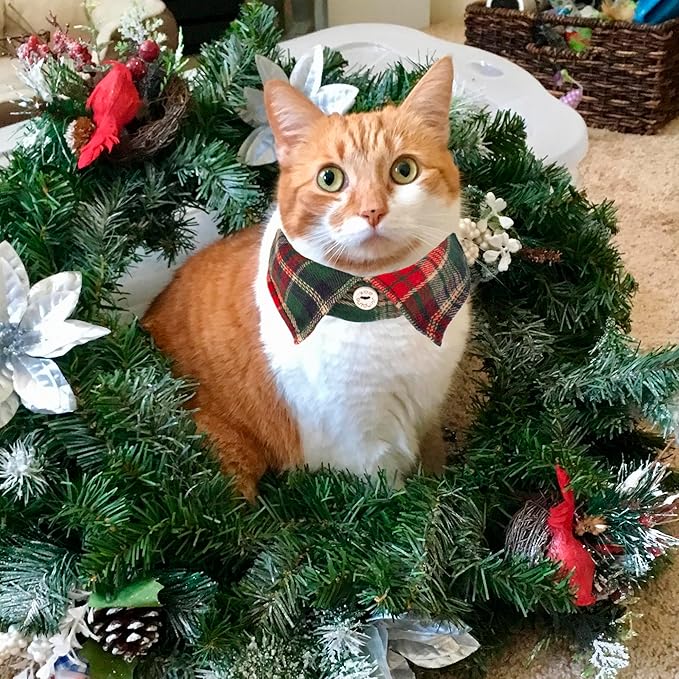 ADOGGYGO Christmas Cat Collars Breakaway with Bow Bell, 2 Pack Stylish Red Green Plaid Xmas Kitten Collar with Removable Shirt Collar, Plaid Christmas Collars for Cats Kittens