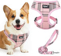 PUPTECK Soft Mesh Dog Harness and Leash Set Pet Puppy Cat Comfort Padded Vest No Pull Harnesses, Light Pink, XL