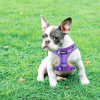PUPTECK Dog Harness and Leash Set for Small Medium Dogs No Pull Step-in Soft Mesh Puppy Cat Vest Harnesses Reflective at Night, Plaid Pattern Purple XS