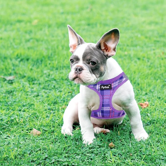 PUPTECK Dog Harness and Leash Set for Small Medium Dogs No Pull Step-in Soft Mesh Puppy Cat Vest Harnesses Reflective at Night, Plaid Pattern Purple XS