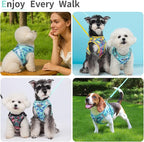Step in Dog Harness with Leash Set, Adjustable Soft Padded and Breathable Mesh for Medium Sized Dog, Reflective No Pull No Choke Cat Vest Harness, Easy Control Pet Vest, Teal XL