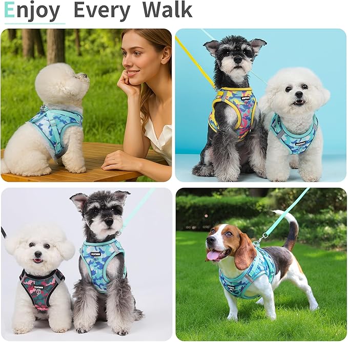 Step in Dog Harness with Leash Set, Adjustable Soft Padded and Breathable Mesh for Medium Sized Dog, Reflective No Pull No Choke Cat Vest Harness, Easy Control Pet Vest, Teal XL