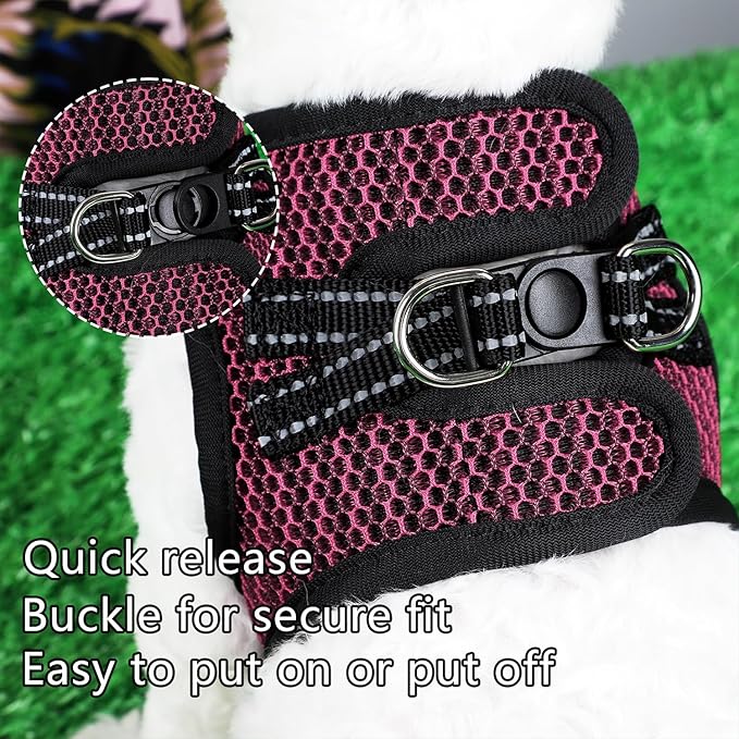 Step in Dog Harness Comfort Mesh Dog Vesr Harness Extra Small Pet Harness for Chihuahua Soft Padded Harness Lightweight Puppy Harness for Cat Doggie Outdoor Walking (Rose, Medium)