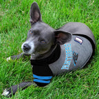 Pets First Hoodie for Dogs & Cats. NFL Football Licensed Dog Hoody Tee Shirt, Large. Sports Hoody T-Shirt for Pets. Licensed Sporty Dog Shirt
