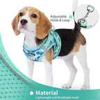 Step in Dog Harness with Leash Set, Adjustable Soft Padded and Breathable Mesh for Medium Sized Dog, Reflective No Pull No Choke Cat Vest Harness, Easy Control Pet Vest, Teal XL
