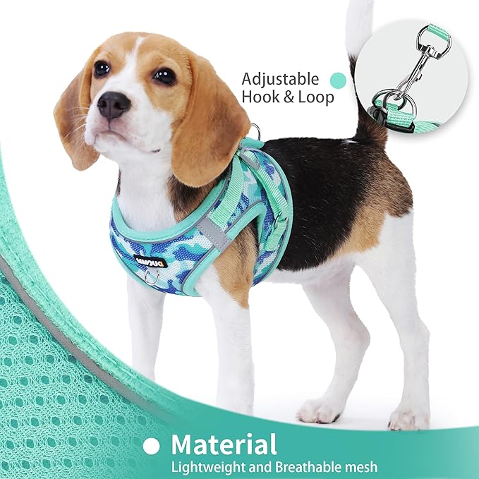 Step in Dog Harness with Leash Set, Adjustable Soft Padded and Breathable Mesh for Medium Sized Dog, Reflective No Pull No Choke Cat Vest Harness, Easy Control Pet Vest, Teal XL