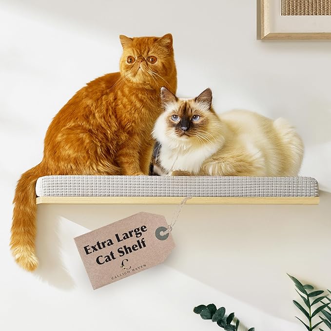 Extra Large 23.6”x12.6” CALLICO HAVEN- Stylish Cat Wall Shelves with Cushion, Modern Wall-Mounted Cat Tree Furniture, Window Cat Shelf & Perch, Sturdy/Hidden Mounts, Washable Cover - Flat Shape