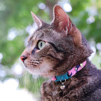 Kittyrama Botanicals Fern Cat Collar. Award Winning. Hypoallergenic, Quick Release Breakaway, Comfy & Soft. Vet Approved. Other Styles Available