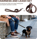 AIITLE No Pull Dog Harness and Leash Set, Step in No Chock Soft Mesh Dog Harnesses Reflective for Extra-Small Puppy Dogs and Cats, Plaid Dog Vest Harness for Pets Chocolate XXS