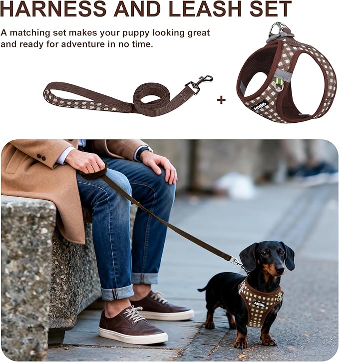 AIITLE No Pull Dog Harness and Leash Set, Step in No Chock Soft Mesh Dog Harnesses Reflective for Extra-Small Puppy Dogs and Cats, Plaid Dog Vest Harness for Pets Chocolate XXS