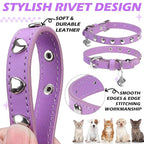 EXPAWLORER Leather Cat Collar for Girl Boy- Adjustable Pet Collar with Safety Elastic Belt,Personalized Heart Accessories Buckle Collars with Bell & Durable D-Ring,Heart (Purple)