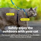 PetSafe Come With Me Kitty Cat Harness & Bungee Leash - Comfortable Cat Harness with Lightweight Bungee Leash for Outdoor Fun - More Secure Walks - Medium - Royal Blue