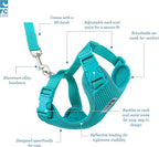 RC Pets Adventure Kitty Cat Harness | Adjustable Airmesh Vest with D-Ring and 6ft Leash for Walking and Travel | Teal, Small