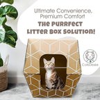 Tallest Disposable Cat Litter Box 15 Trays 2 Trays Litter Box Low Entry Original Patented Indentical Design19 Lx17 Wx8.5 17 in. Closed Box. Woman Lifelong Cat Care Sassy Uses Daily 14 yrs Made-US