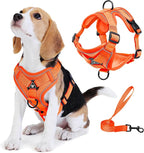 No Pull Dog Harness with Leash Set for Small Sized Dog, Reflective Adjustable No Choke Front Clip Cat Vest Harness with Breathable Mesh, Comfortable Soft Padded Pet Vest, Orange M