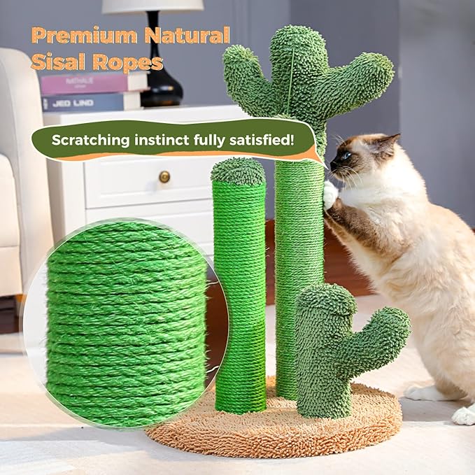 PAWZ Road Cat Scratching Post Cactus Cat Scratcher Featuring with 3 Scratching Poles and Interactive Dangling Ball -Medium 23 Inches