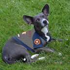 Pets First MLB Hoodie for Dogs & Cats - Houston Astros Dog Hooded T-Shirt, Medium. - MLB Team Color Hoody (AST-4044-MD)