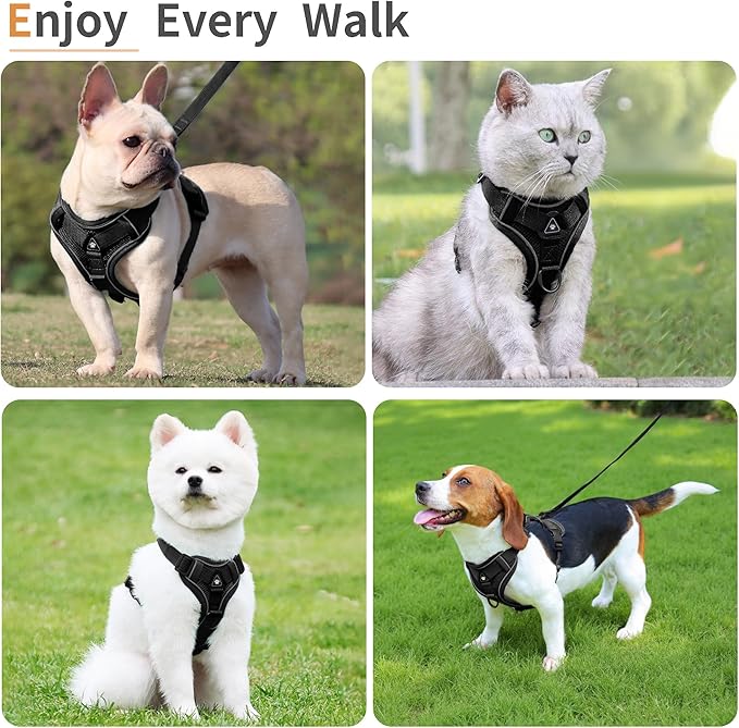 No Pull Dog Harness with Leash Set for Small Sized Dog, Reflective Adjustable No Choke Front Clip Cat Vest Harness with Breathable Mesh, Comfortable Soft Padded Pet Vest, Black L
