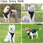 No Pull Dog Harness with Leash Set for Small Sized Dog, Reflective Adjustable No Choke Front Clip Cat Vest Harness with Breathable Mesh, Comfortable Soft Padded Pet Vest, Black L