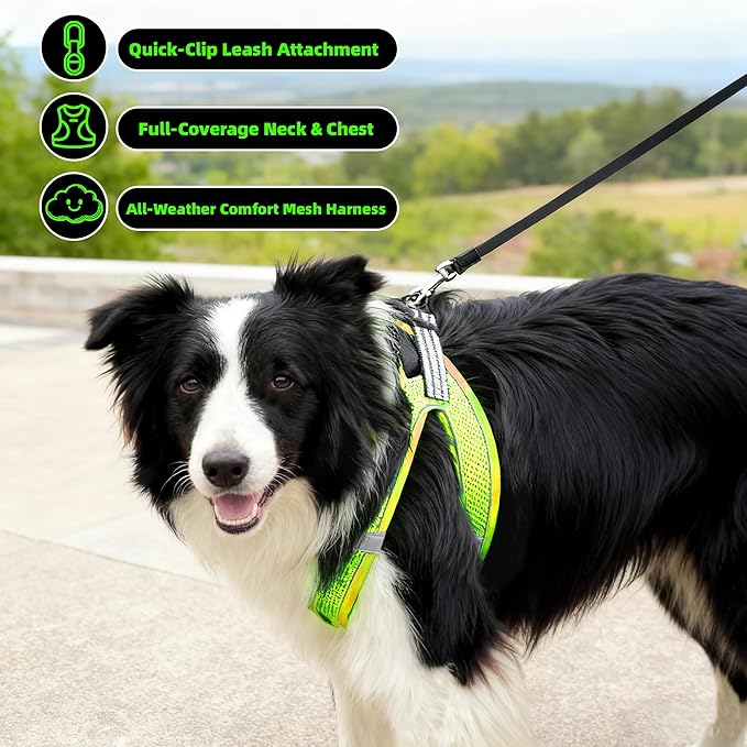 ROYPET Step-in Air Dog Harness, All Weather Mesh Step in Vest Harness for Small and Medidum Dogs and Cats, Adjustable Soft Padded Dog Vest with Easy Control Handle for Dogs Pets (Neon Green, XL)