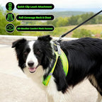 ROYPET Step-in Air Dog Harness, All Weather Mesh Step in Vest Harness for Small and Medidum Dogs and Cats, Adjustable Soft Padded Dog Vest with Easy Control Handle for Dogs Pets (Neon Green, XL)